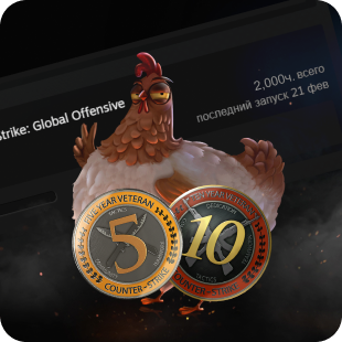 CS:GO + 2 МОНЕТЫ ЗА СЛУЖБУ + 2000 ЧАСОВ